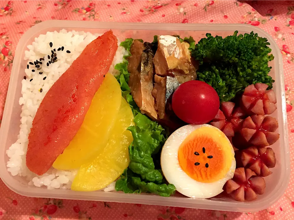 旦那お弁当🍱2020/05/14|Kodomo Cookingさん