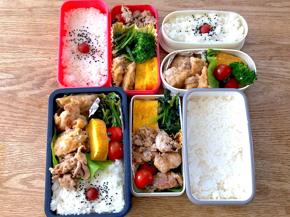 Snapdishの料理写真:【44日目】パパが作るおうち弁当4人前|パパのつくりおき弁当（つく弁）さん