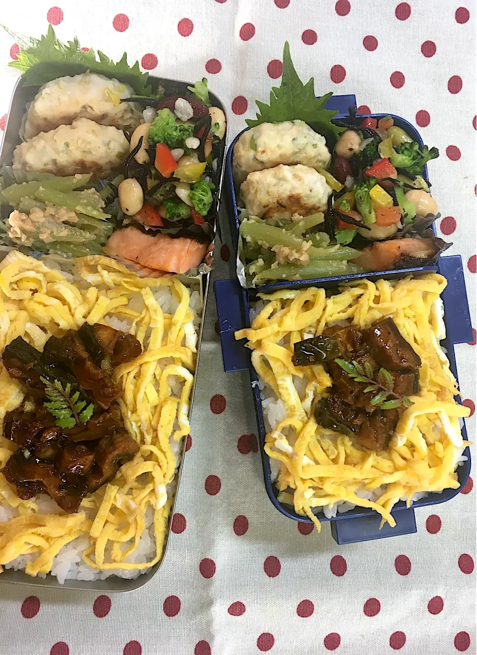 Snapdishの料理写真:5月14日 今日も五月晴れ弁当🍱|sakuramochiさん