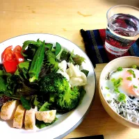 SALADA💛LUNCH しらすご飯温玉のっけ"5/14|yumiさん