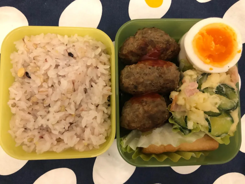 Snapdishの料理写真:ハンバーグ弁当|freeさん