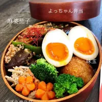 Snapdishの料理写真:麻婆茄子丼弁当！！|ゆかちんさん