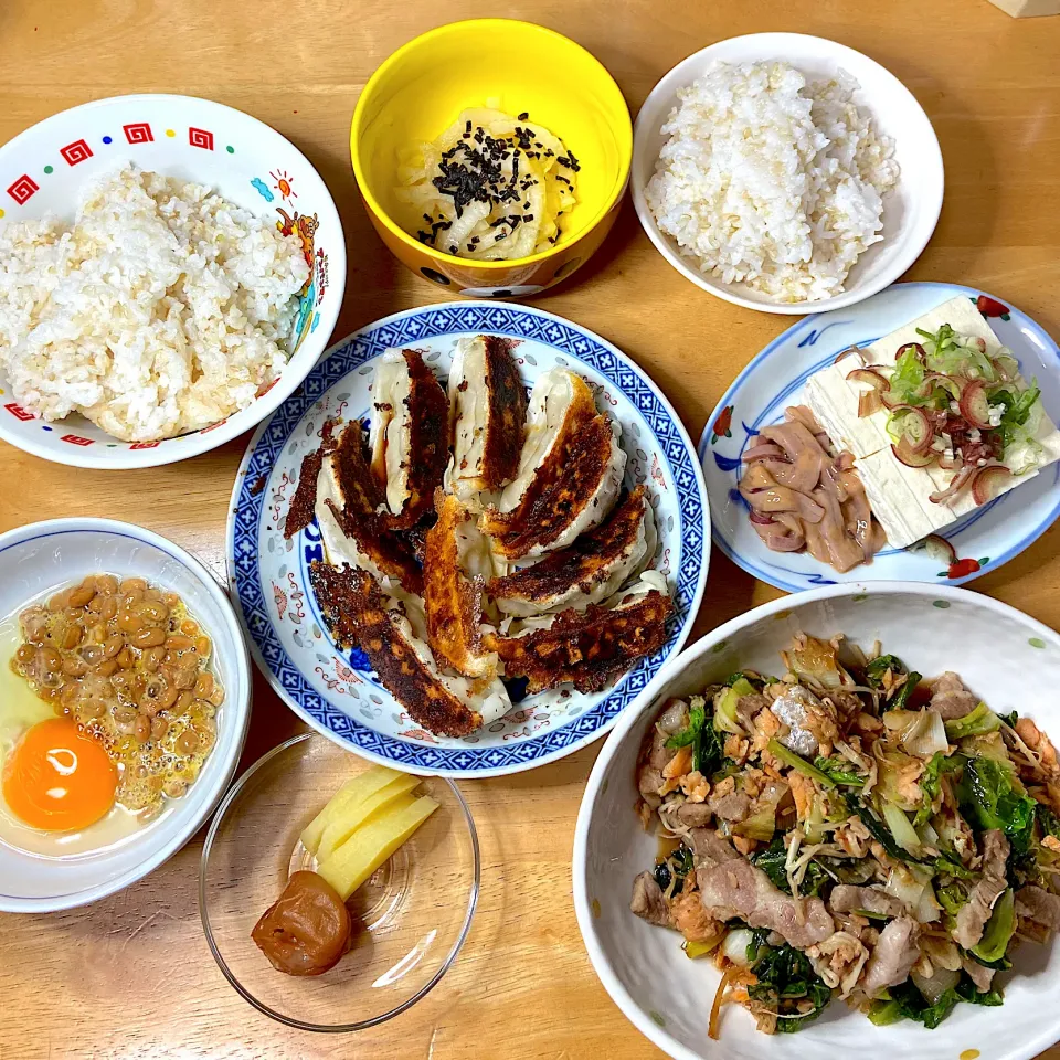 今日も何がしたいのかご飯😂|Makokoさん