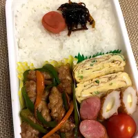 Snapdishの料理写真:#旦那弁当|かめさん