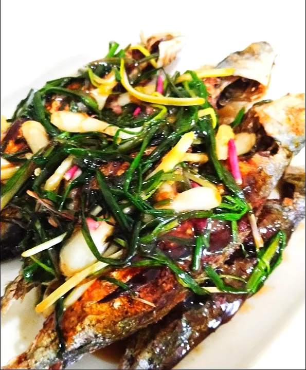 Snapdishの料理写真:Fried fish with black soy sauce & green Shallot|Harlina  (Malaysia)さん