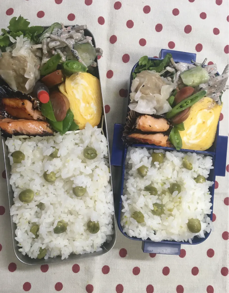 5月15日 今日は☁️→☔️弁当🍱|sakuramochiさん