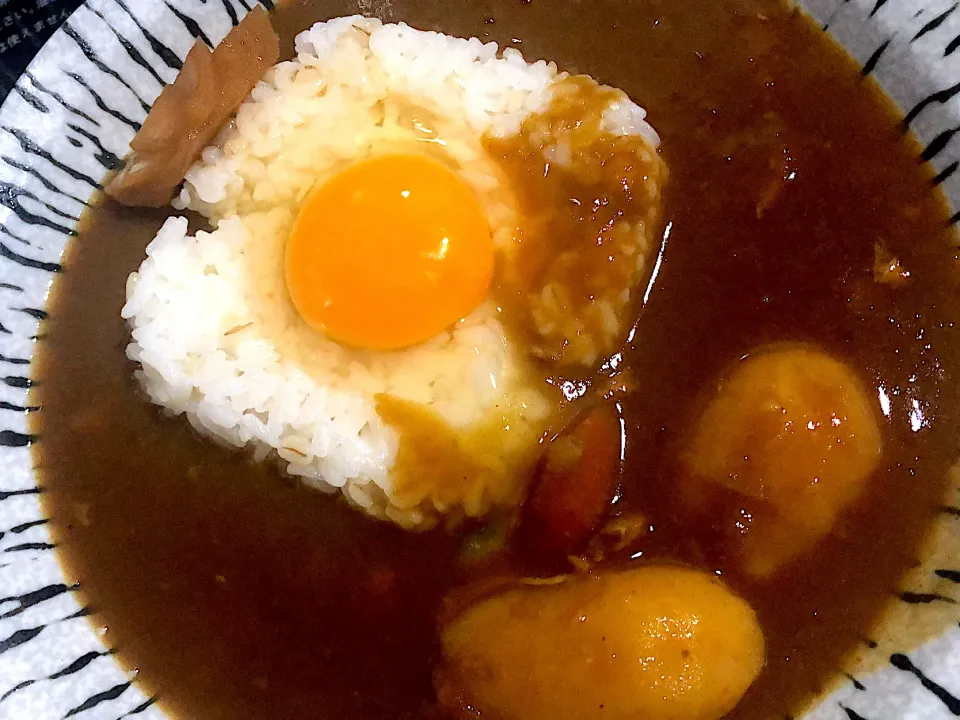 昨日のカレーご飯ver.|みかさん