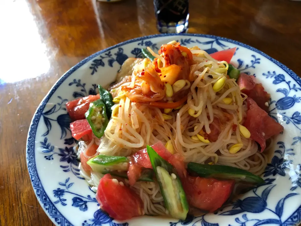 色々ナムルのお素麺|さんだーさん