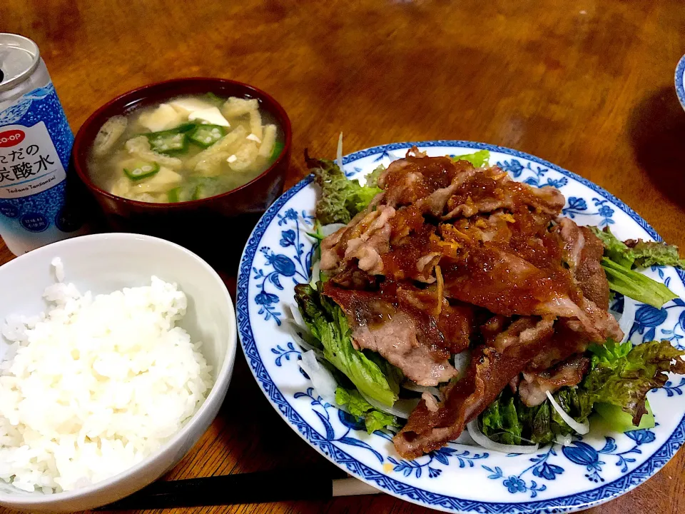 焼きしゃぶサラダ🥗|さんだーさん