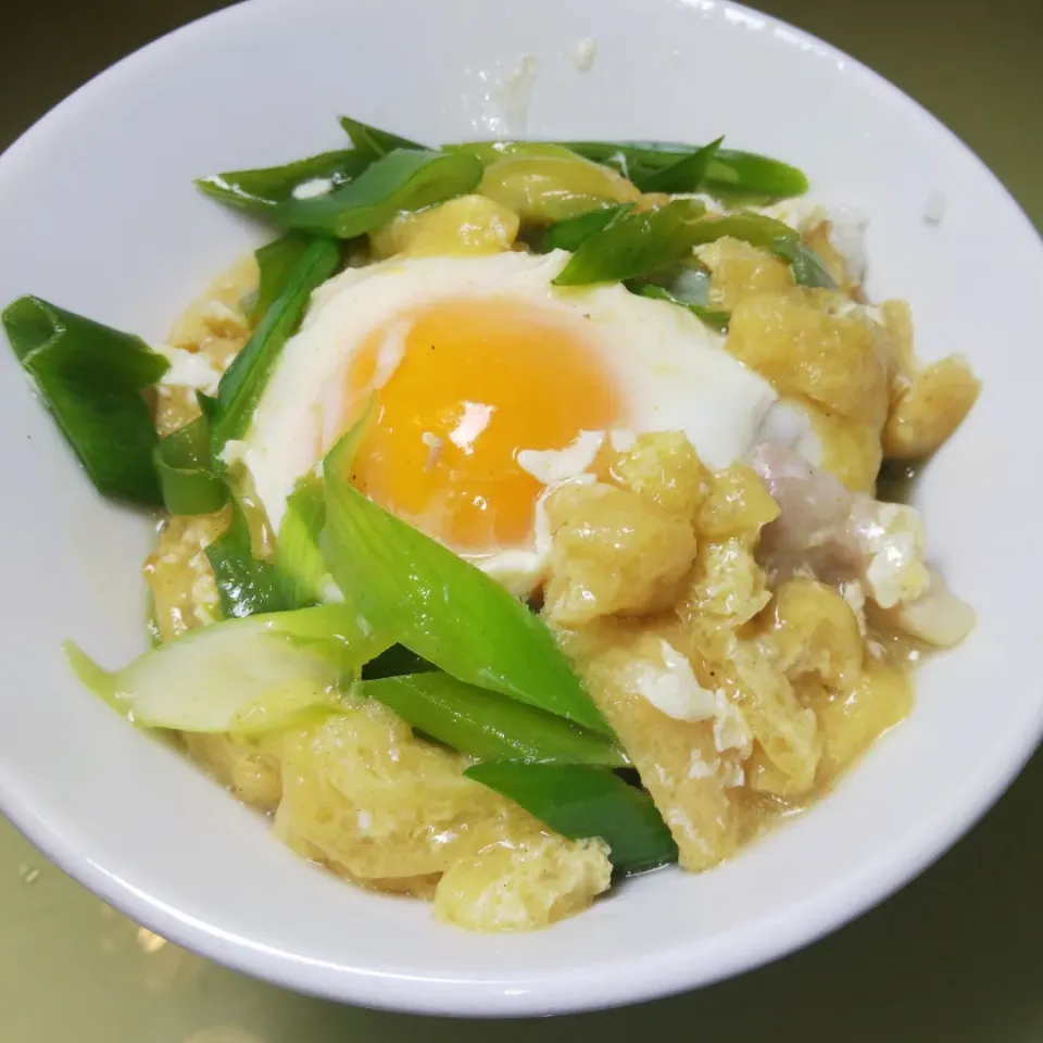 カレーきつね丼|けろよんさん