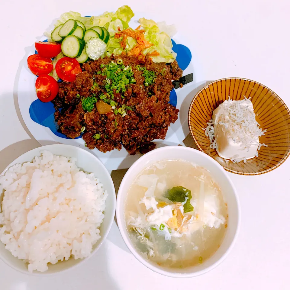 Snapdishの料理写真:夜ご飯☺︎サラダ☆じゃこのせ冷奴☆コストコのプルコギビーフ☆もやしとわかめの玉子スープ|とまこ(*^o^*)さん