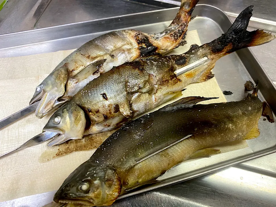 鮎塩焼き|さくたろうさん