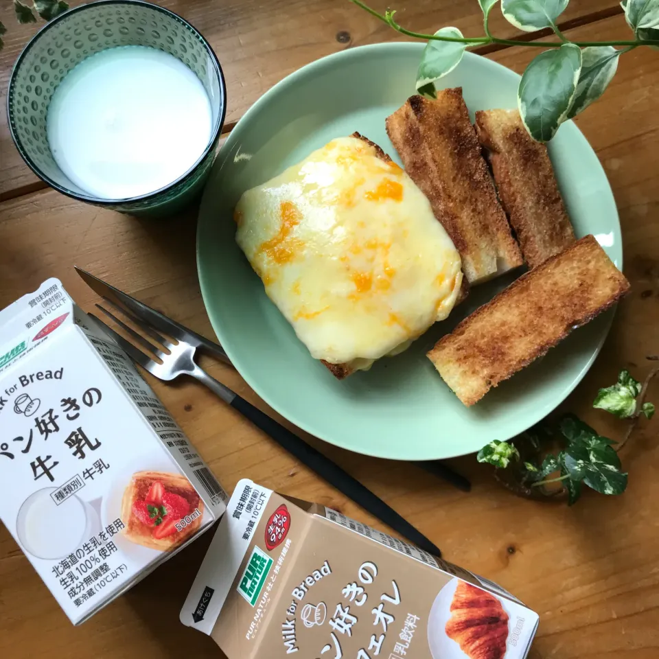 🥖🥛パンと牛乳のマリアージュ💕間違いない美味しさの たっぷりチーズトーストと シナモントースト🥖🥛美味しいチーズトーストの作り方🧀|Hollyさん