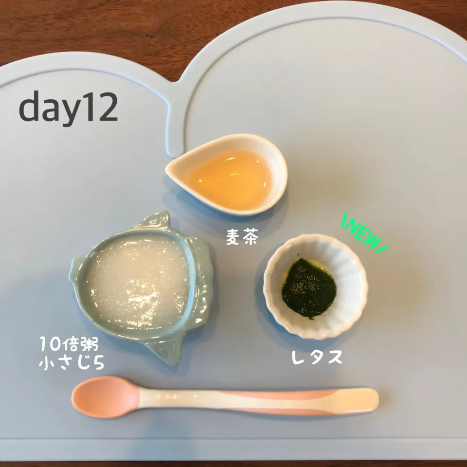 Snapdishの料理写真:初めてのレタス🥬|あーたさん