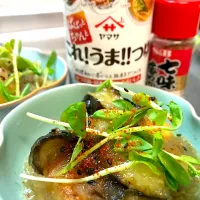 鶏肉と揚げ茄子のおろし煮|なつひさん