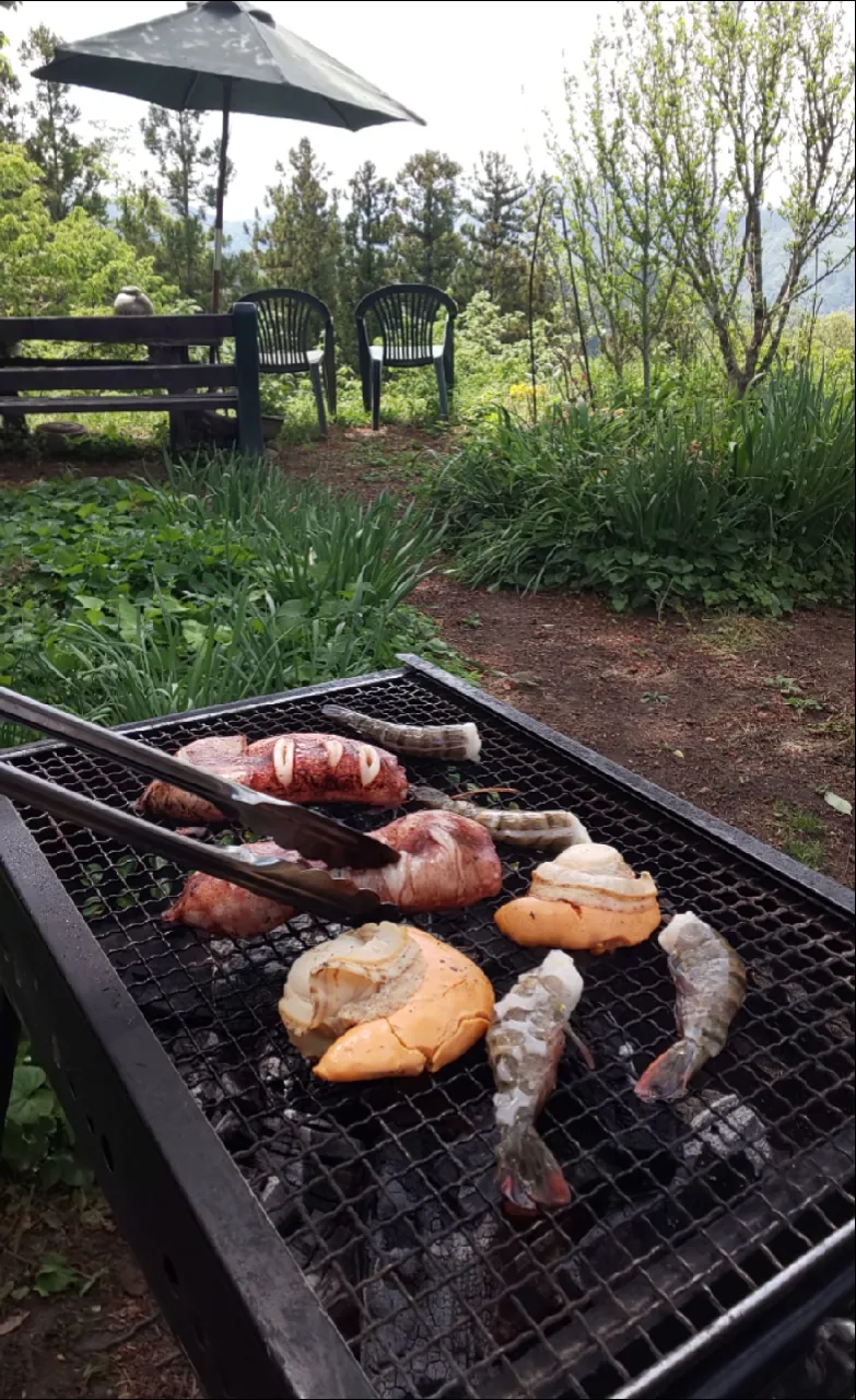 海鮮バーベキューとハヤシライス
家族で庭ランチ|miyuki🌱さん