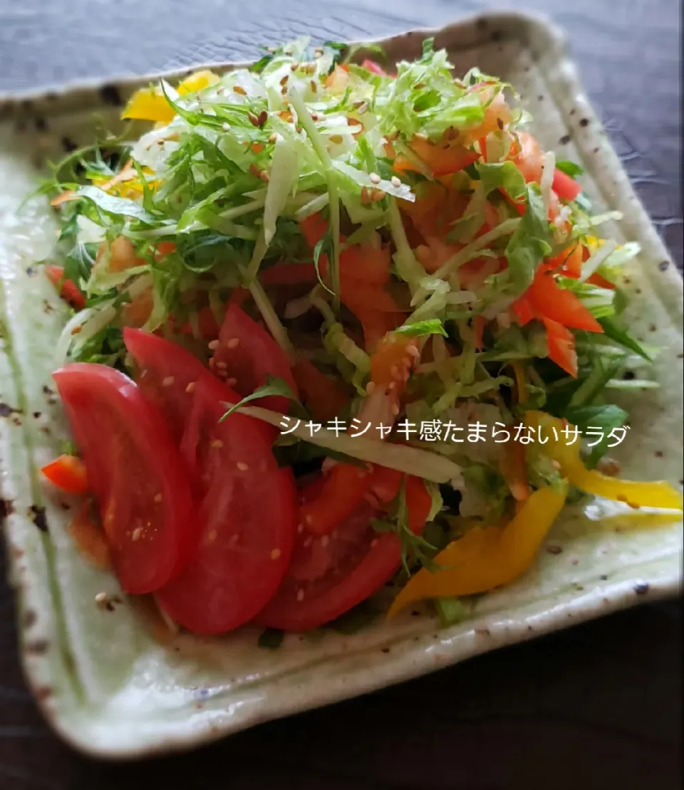 シャキシャキ感たまらない水菜を使って
のサラダ…|kimikimi❤kitchenさん