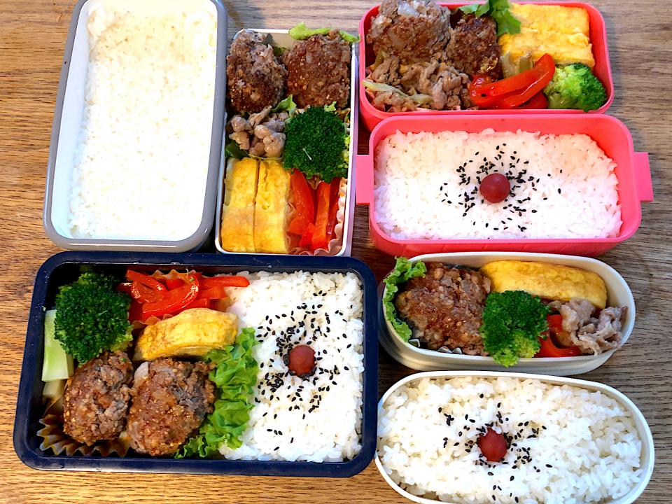 【47日目】パパと小学生が作るおうち弁当