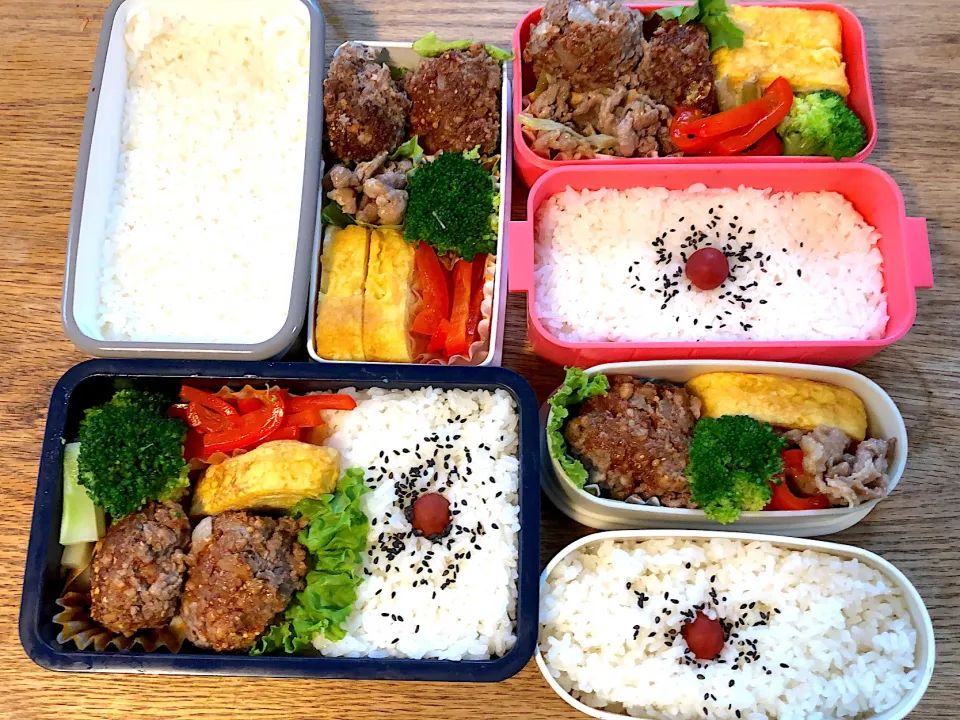 Snapdishの料理写真:【47日目】パパと小学生が作るおうち弁当|パパのつくりおき弁当（つく弁）さん