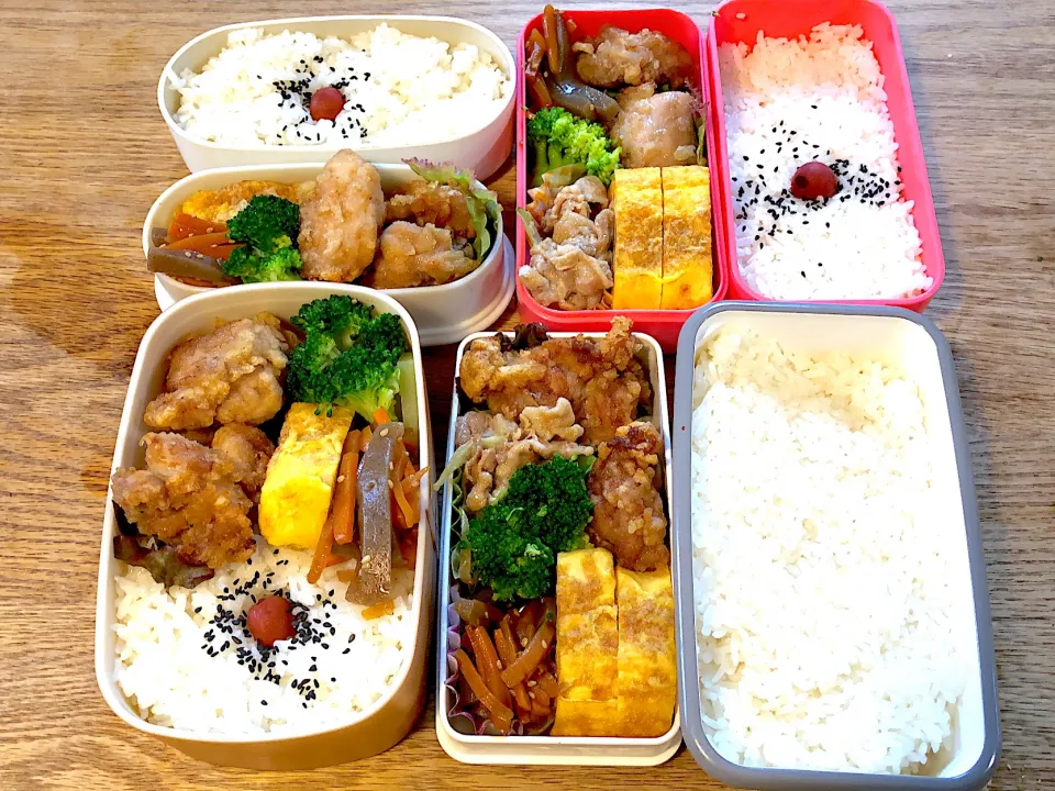 【48日目】パパと小学生が作るおうち弁当|パパのつくりおき弁当（つく弁）さん