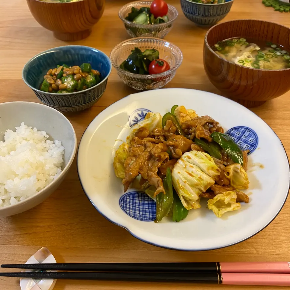 Snapdishの料理写真:今日の夜ごはん|non0619さん