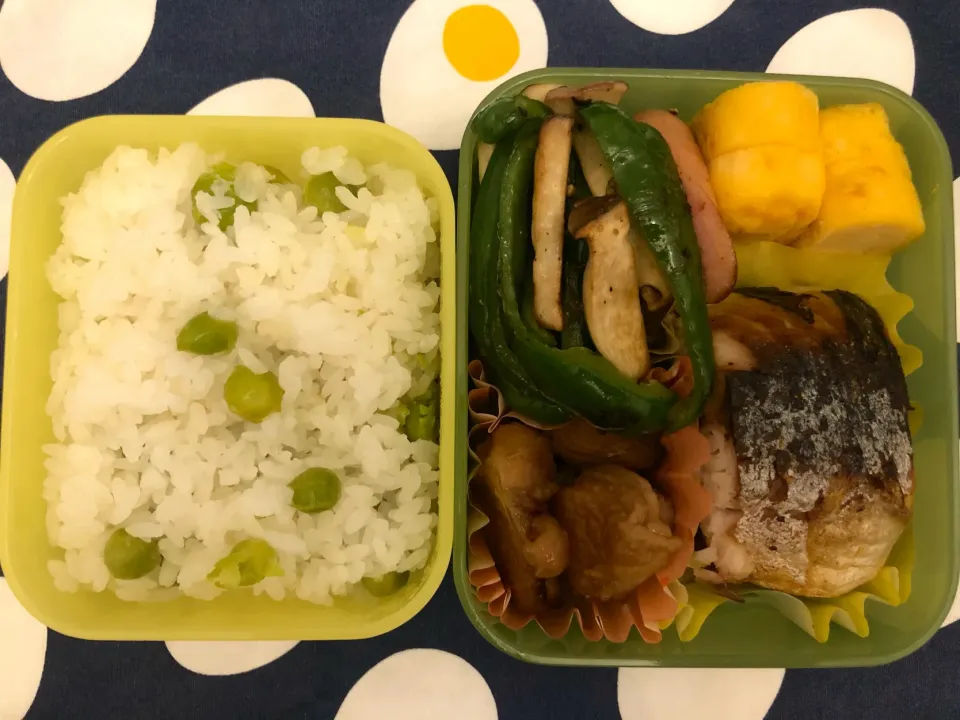 塩鯖とグリンピースごはん弁当|freeさん