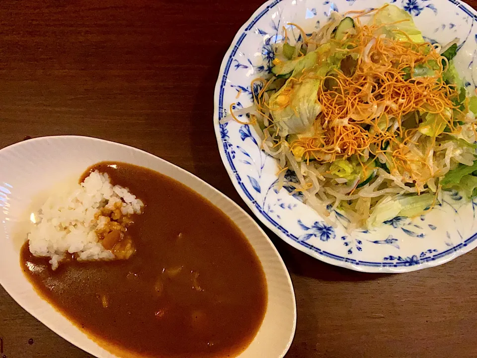 晩ご飯、野菜サラダとカレー|「蘭」さん