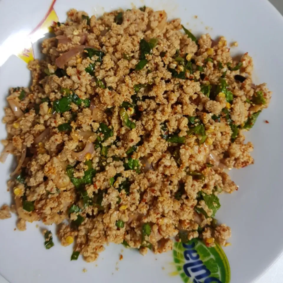 spicy minced pork salad (laab)|patcookingfeverパットさん