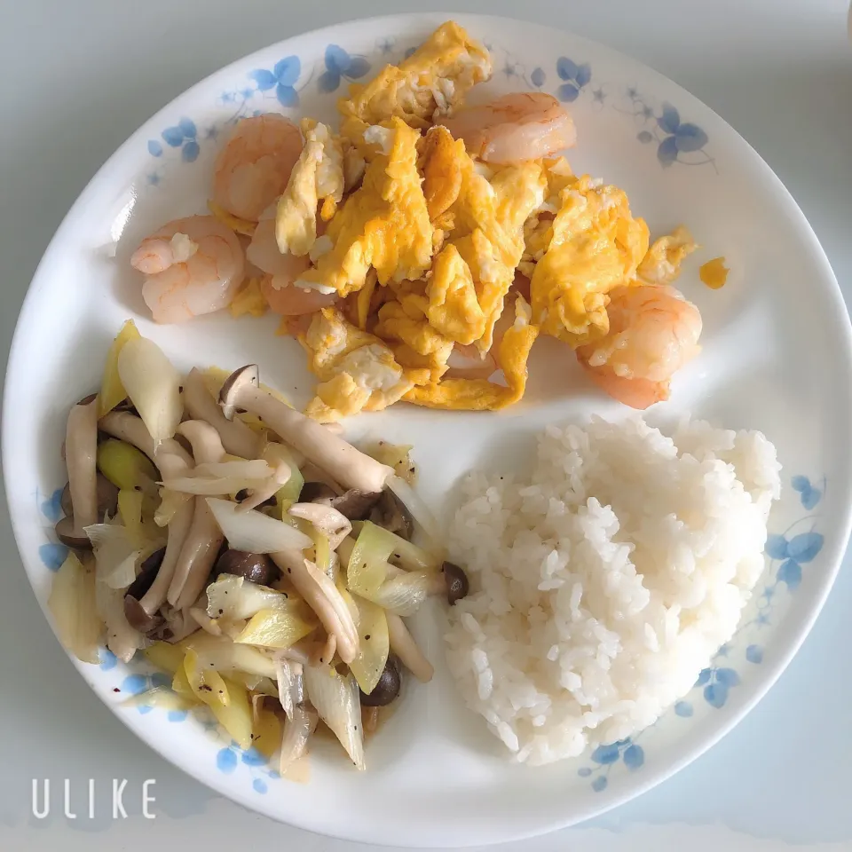 お昼ご飯|まめさん