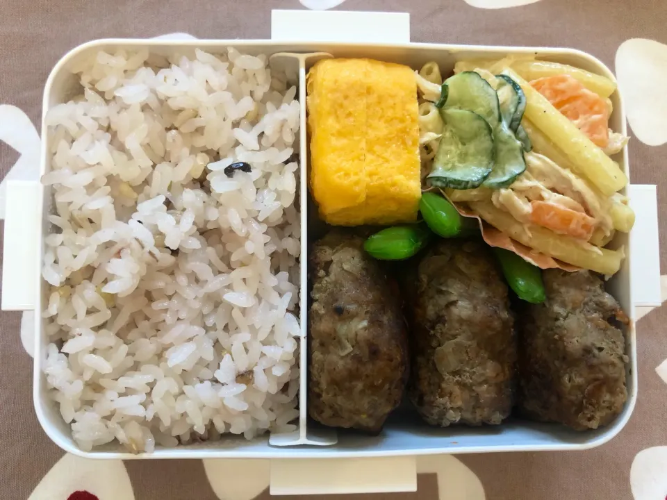 Snapdishの料理写真:ハンバーグ弁当|freeさん