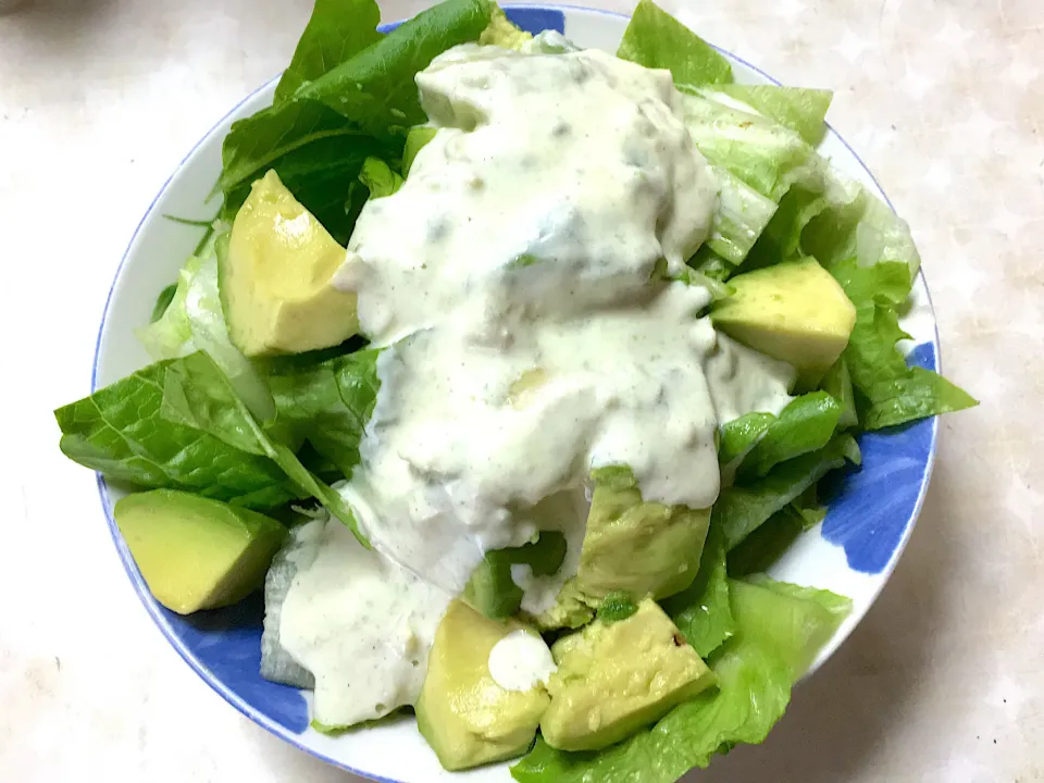 レタス、ロメインレタス、アボガドのサラダ🥬🥗✨|aさん