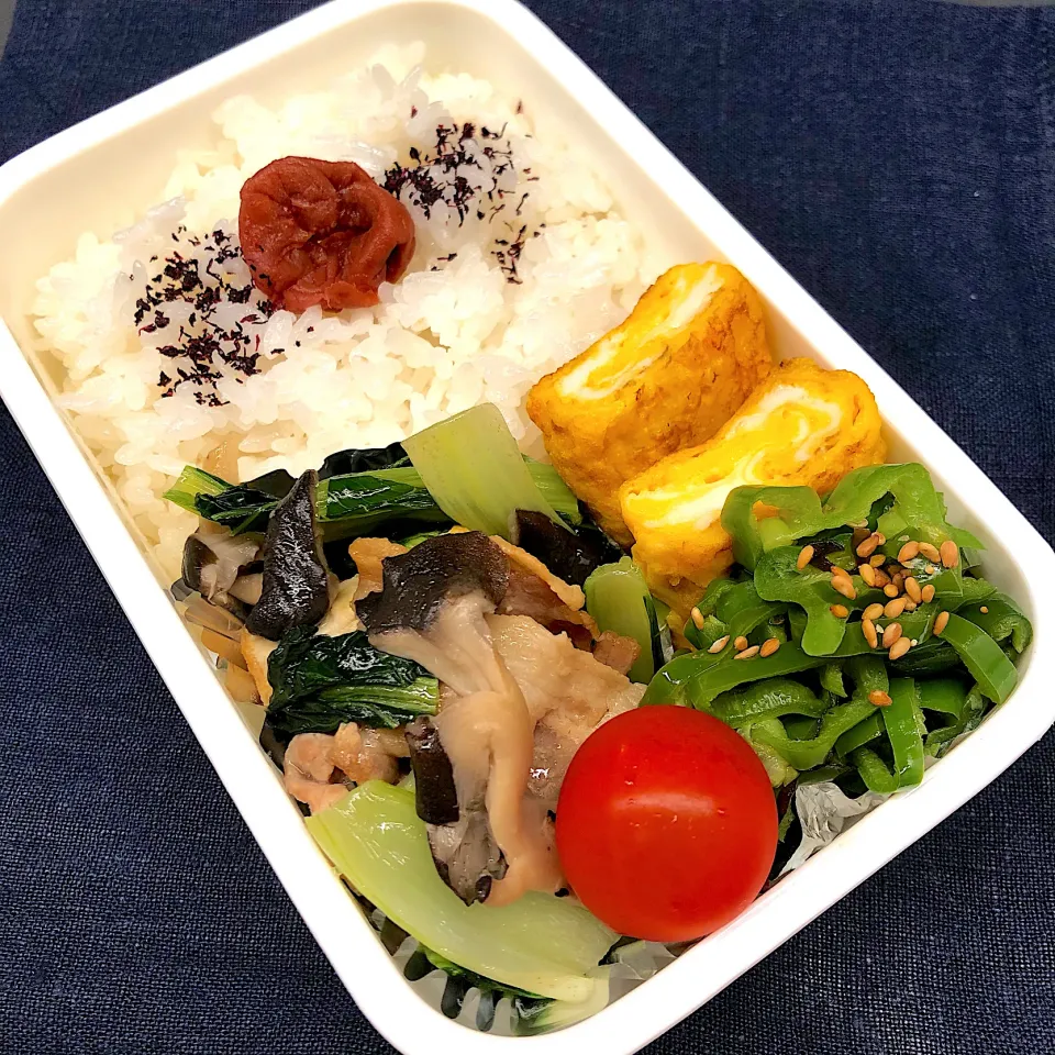 お父さん弁当♪|みちさん