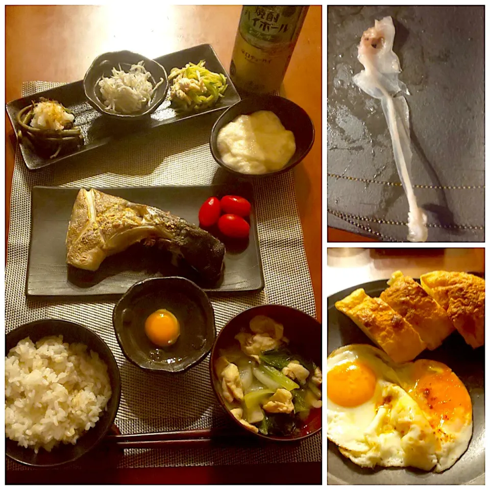 Snapdishの料理写真:Today's dinner🍴蕨のお浸し･おろししらす･鶏と胡瓜のさっぱり山椒和え･とろろ<大和芋&長芋>･塩焼きｶﾝﾊﾟﾁのあら･餅麦飯･鶏皮と大根&小松菜のお吸い物|🌈Ami🍻さん