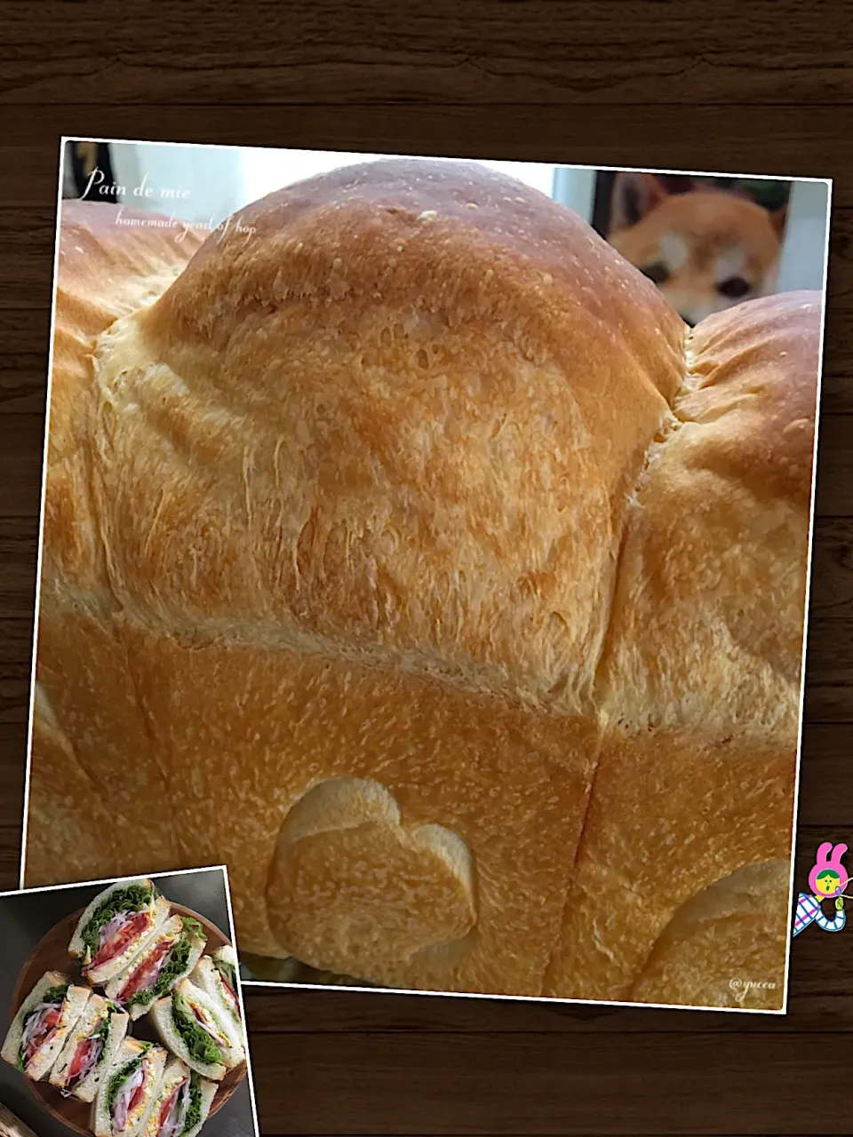 Snapdishの料理写真:ホップ種 de 山食🍞                               ﾀﾛｳｶﾞﾁﾗﾘｽﾞﾑ…I˙꒳​˙)|yucca@さん