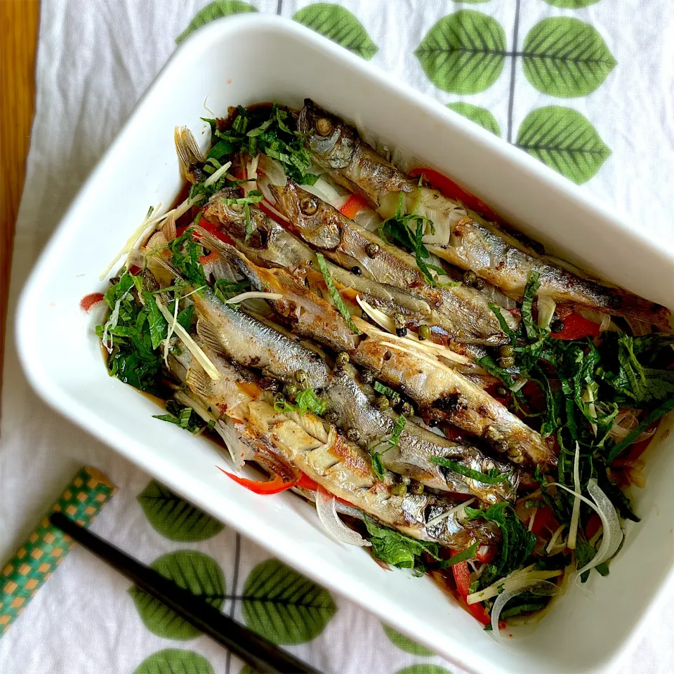 初夏のししゃもの南蛮|むぎこさん