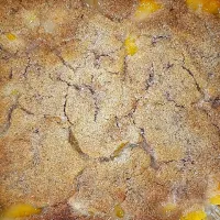 homemade peach cobbler|Krystal Daneen Smith-Royallさん