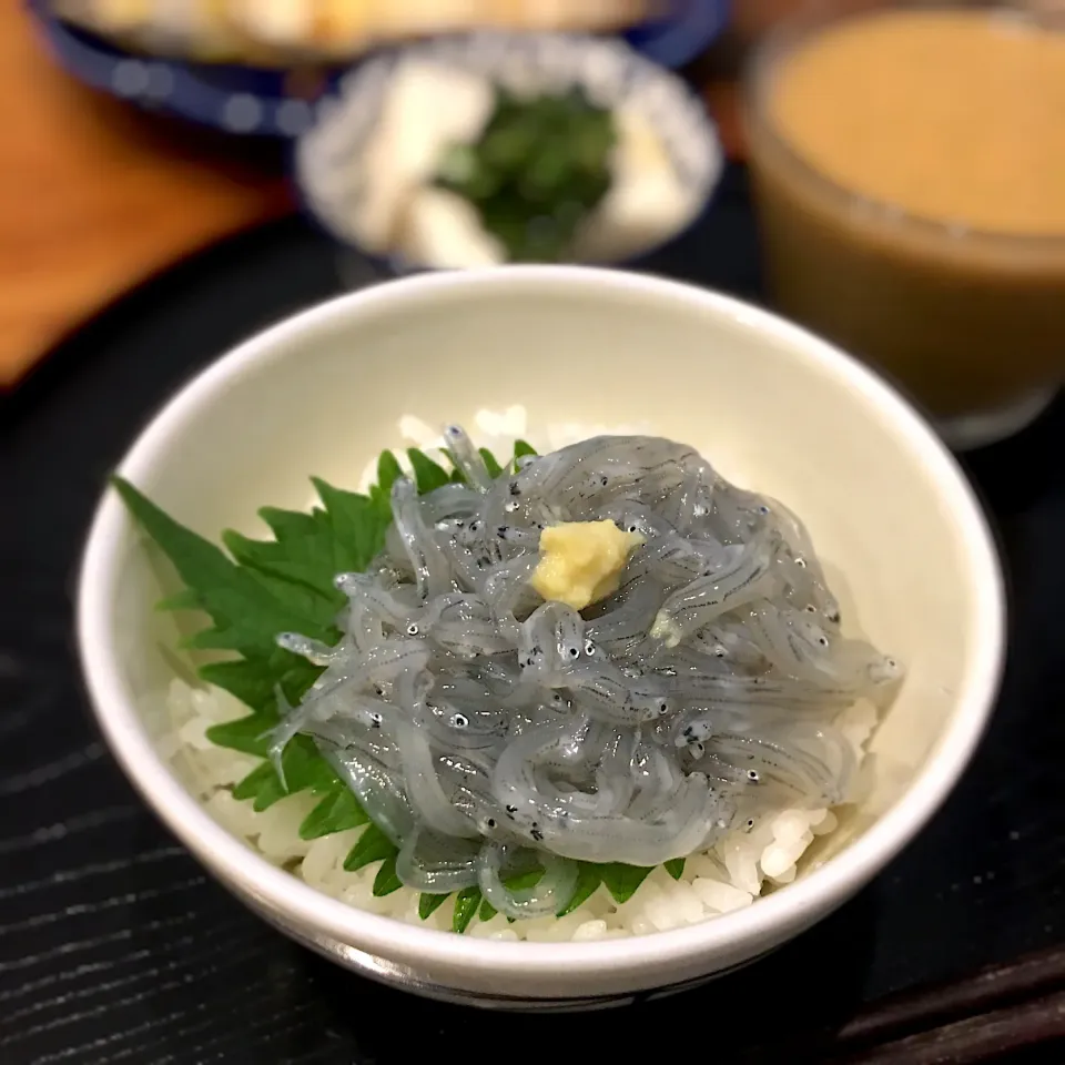 生シラス丼|くろあおさん