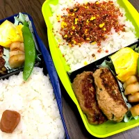 Snapdishの料理写真:今日のお弁当|choco10nutsさん