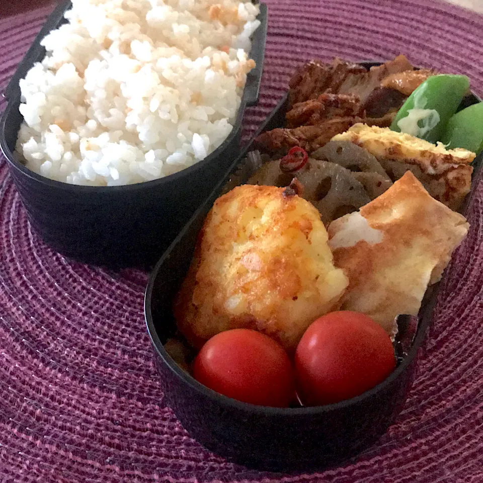 今日のお弁当🍱|mokoさん