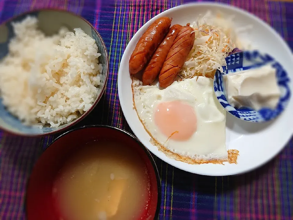 普通のお昼ご飯|ゆずうさぎさん