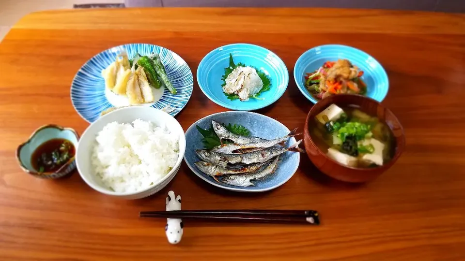 釣り上げた魚で南蛮、炙り、塩焼き、天ぷら😍|masaki .fさん