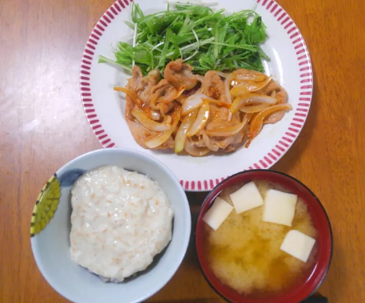 ５月２６日　とろろご飯　しょうが焼き　サラダ　豆腐とわかめのお味噌汁|いもこ。さん