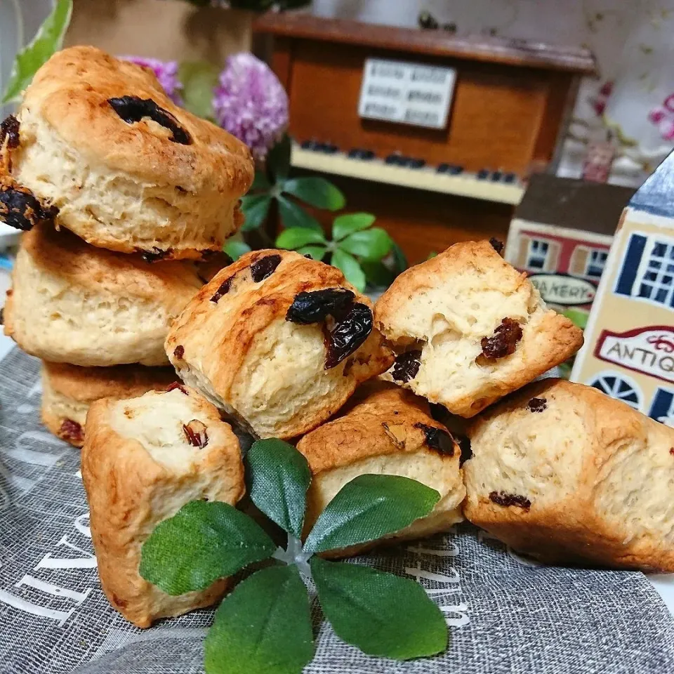 Snapdishの料理写真:ぽき。さんの料理 ♡レーズン＆クランベリースコーン。|とまと🍅さん