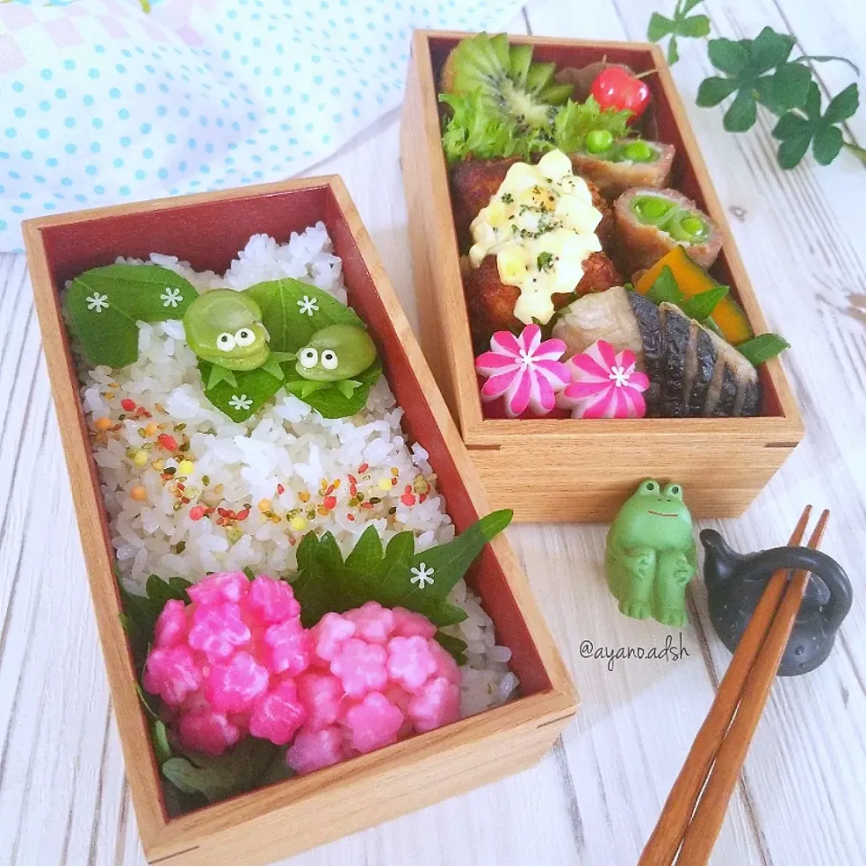 空豆カエル🐸と紫陽花のお弁当|ayano.adshさん