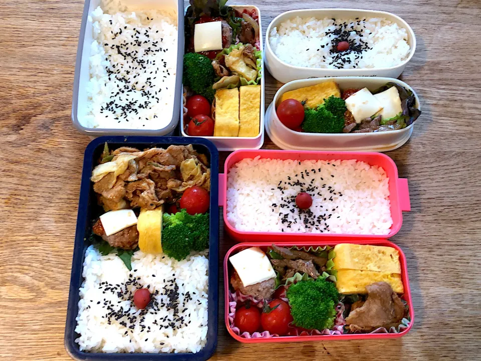 【53日目】パパと小学生が作るおうち弁当|パパのつくりおき弁当（つく弁）さん