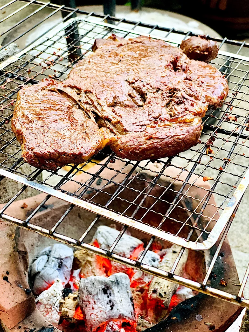 Steak 🥩|MyKimryさん