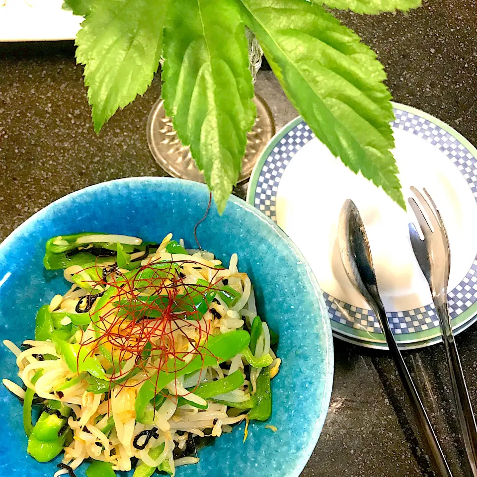 もやしとピーマンのカレー酢ごま油和え|シュトママさん