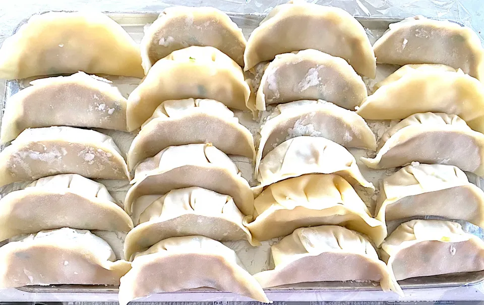 ロシアンルー餃子🥟何個かチーズ餃子🧀🥰|みうのすけさん