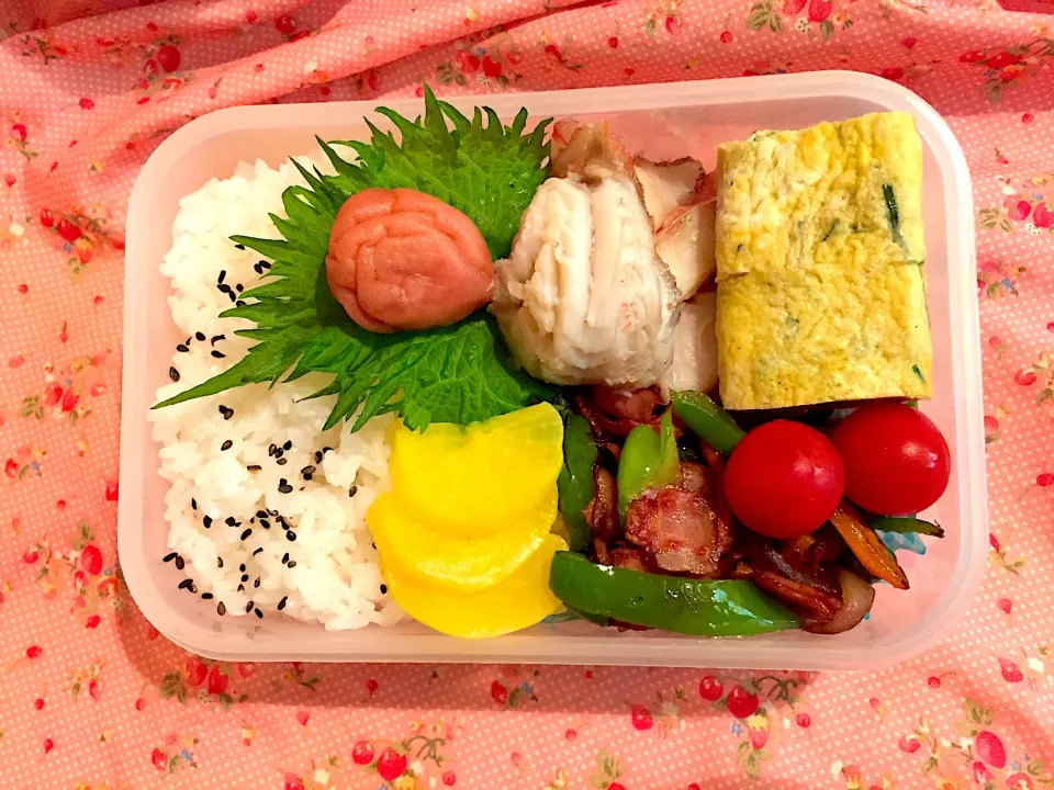 お弁当🍱2020/05/28|Kodomo Cookingさん