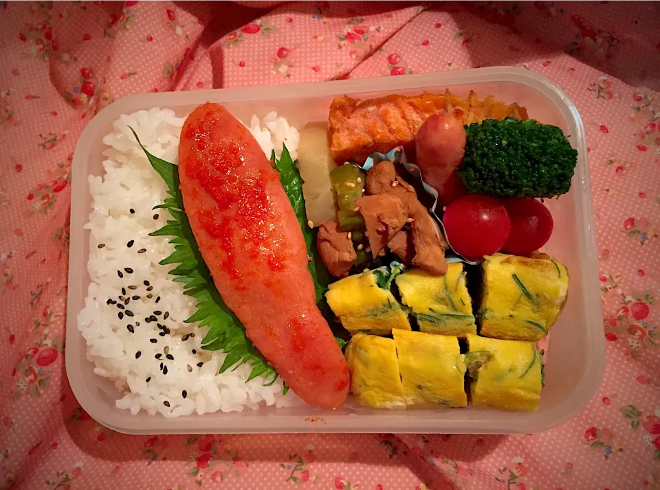 お弁当🍱2020/05/27|Kodomo Cookingさん